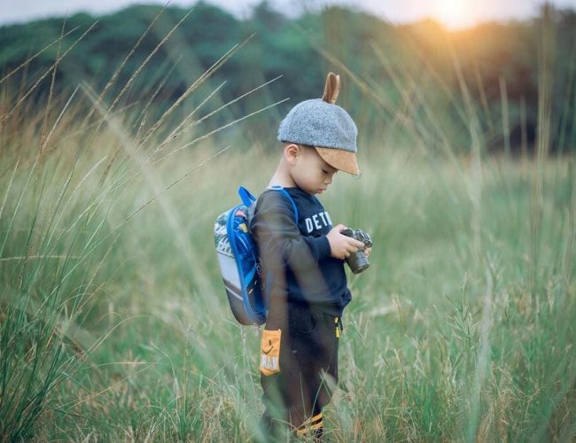 Genetic link and surrogacy: choosing the right service in United States