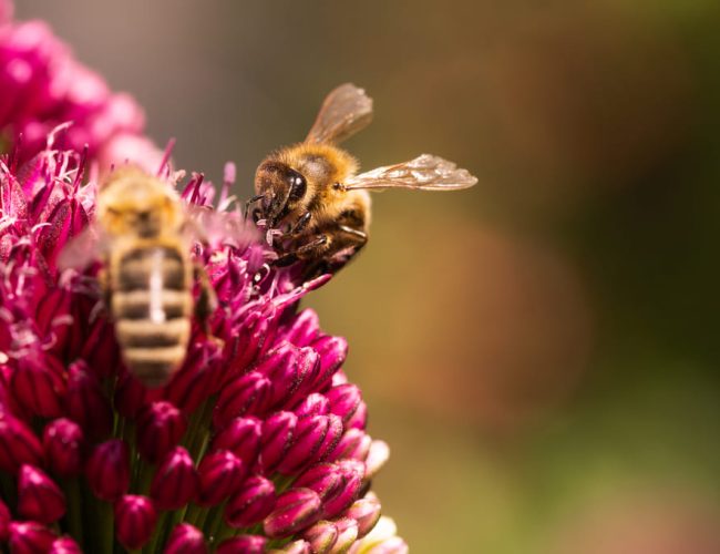 Socioeconomic benefits of the MBC, discussed by Max van Rijswijk