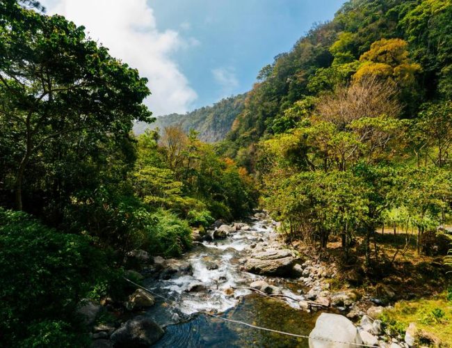 Requirements for Canada citizens to gain Panama residency